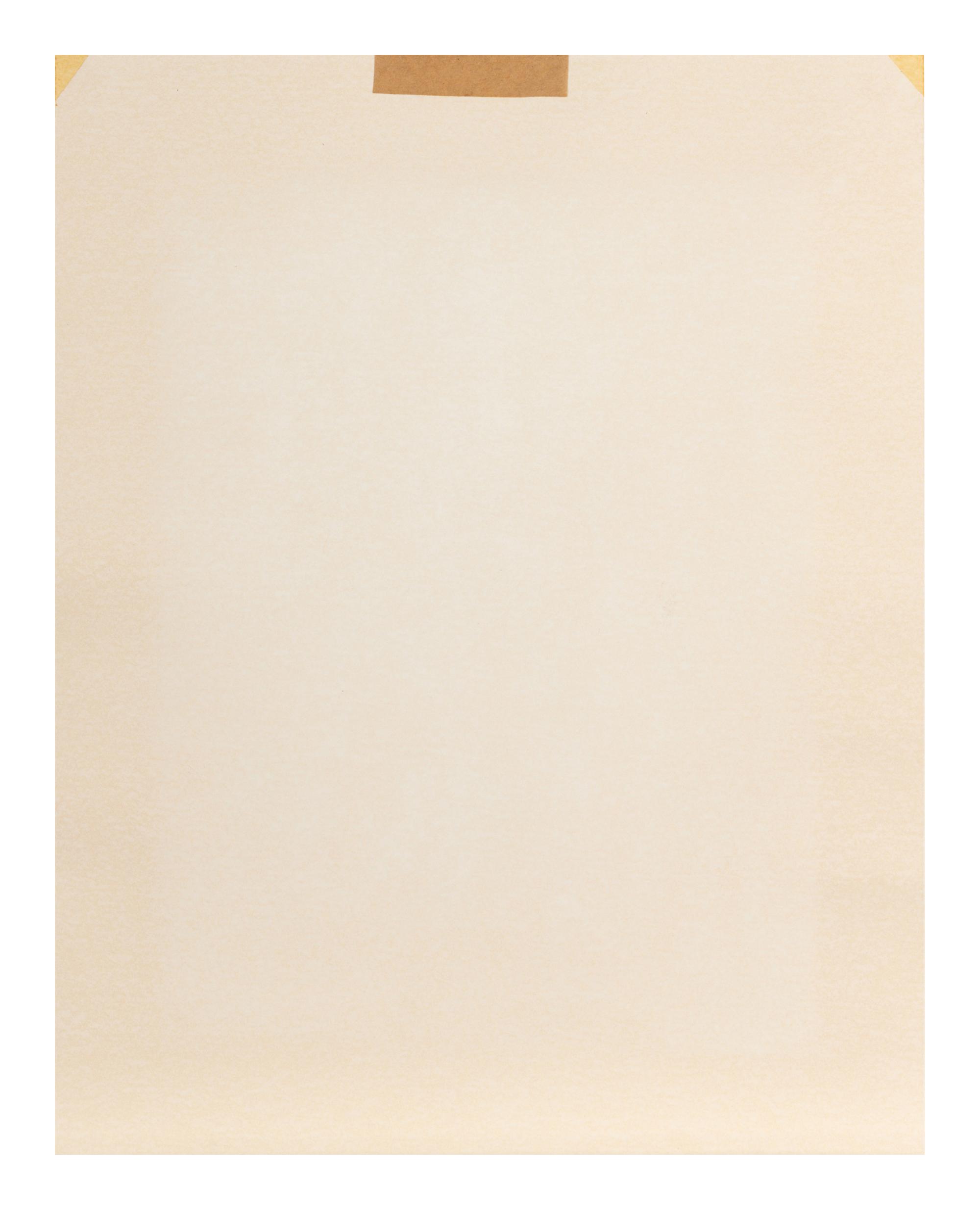 In Bloom , 1993