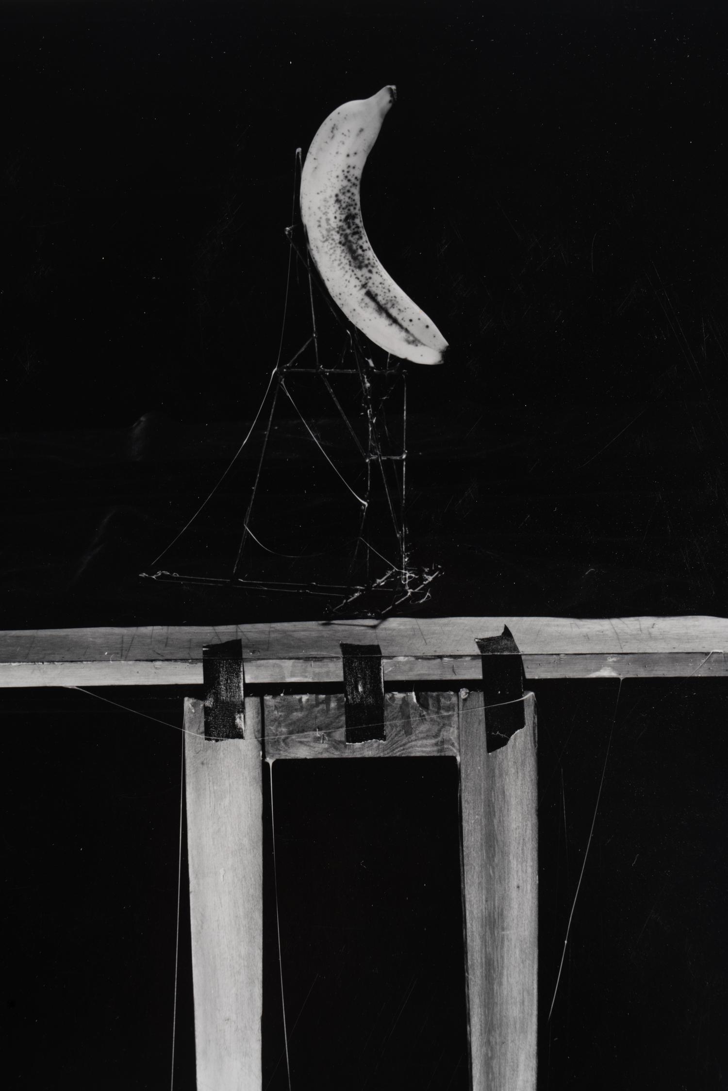 Untitled (Rope and Chair) and Untitled (Banana) , 1984 (two works)