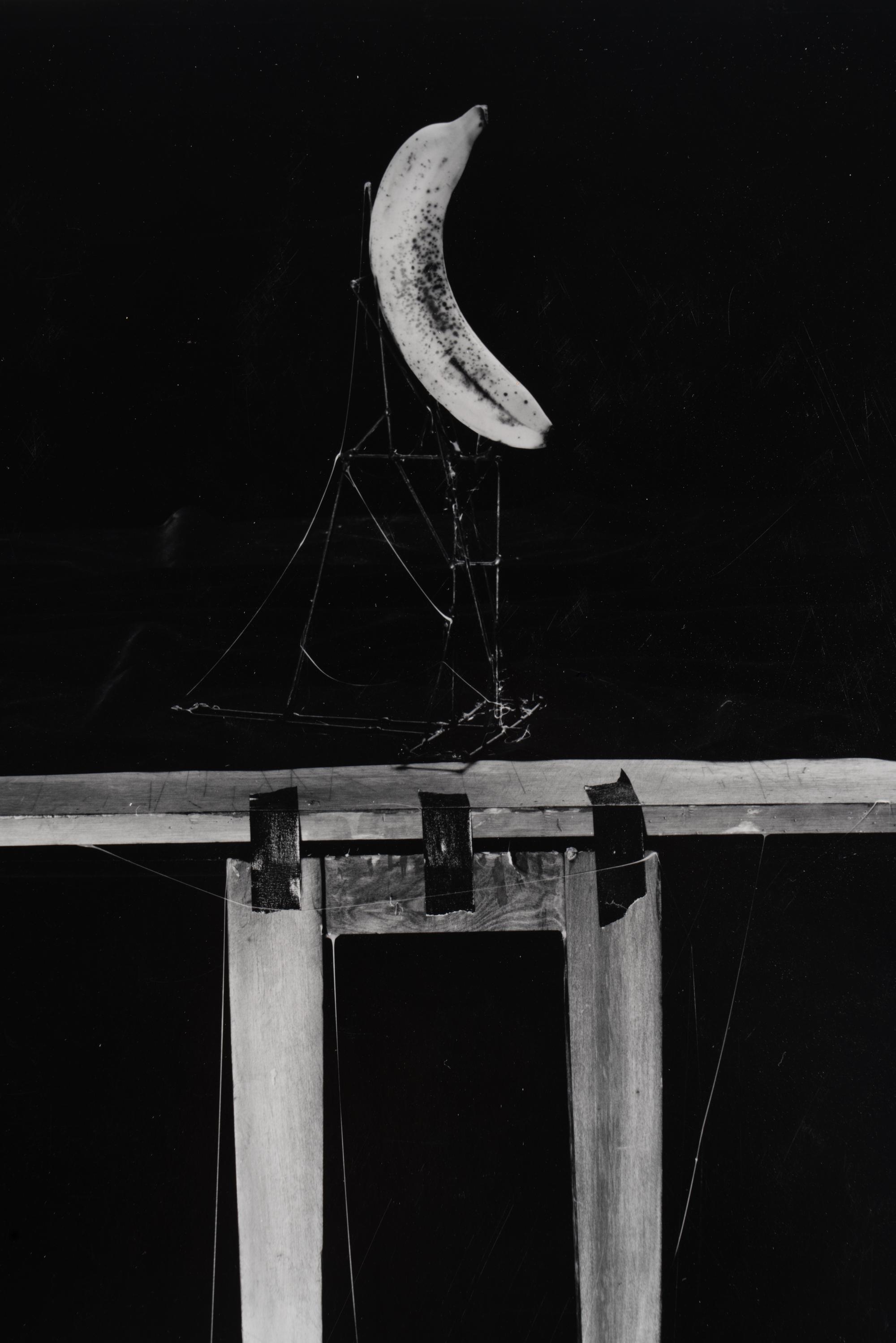 Untitled (Rope and Chair) and Untitled (Banana) , 1984 (two works)
