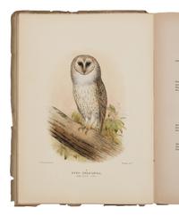 [NATURAL HISTORY]. MATHEWS, Gregory Macalister (1870-1949). The Birds of Australia . London: Witherby, 1915-1925.