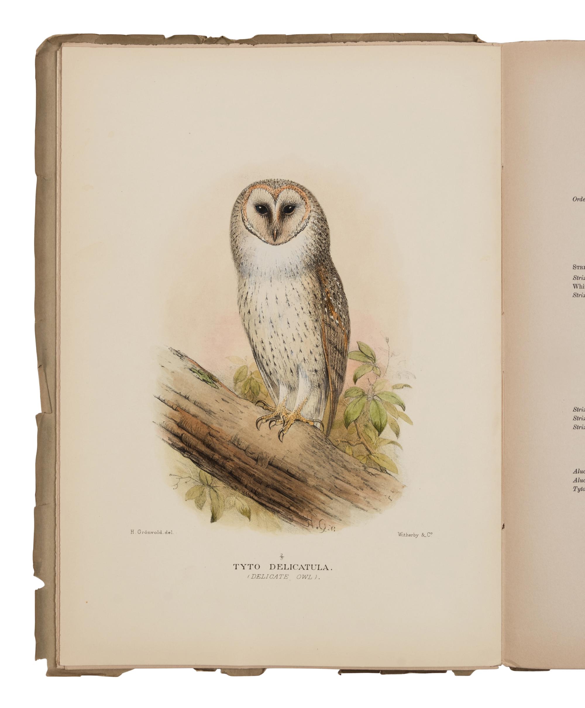[NATURAL HISTORY]. MATHEWS, Gregory Macalister (1870-1949). The Birds of Australia . London: Witherby, 1915-1925.