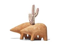 Two Bears with Cactus