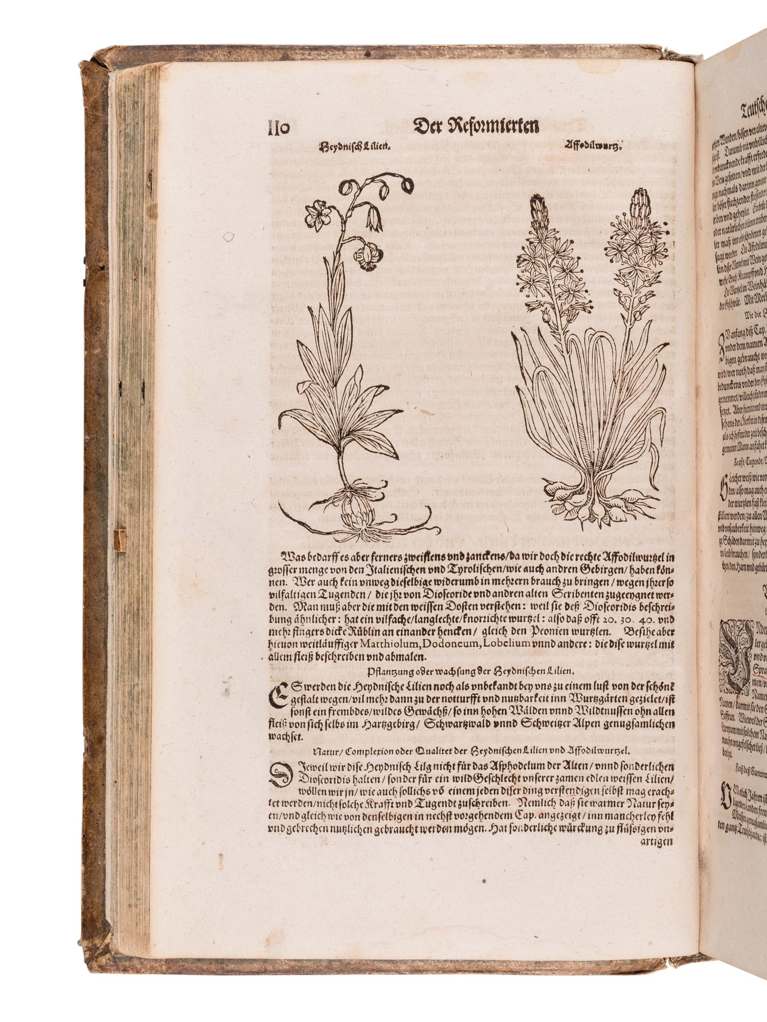 RYFF, Walther Hermann (ca 1500-1548). Newe aussgerüeste Deutsche Apoteck: darinnen aller fürnemsten, und gebraulichtsten einfachen Artzneyen, als Kraütter, Gewürtz, Mineralien.. . Niklaus Ager, translator. Strassburg: Lazari Zetzners, 1602.