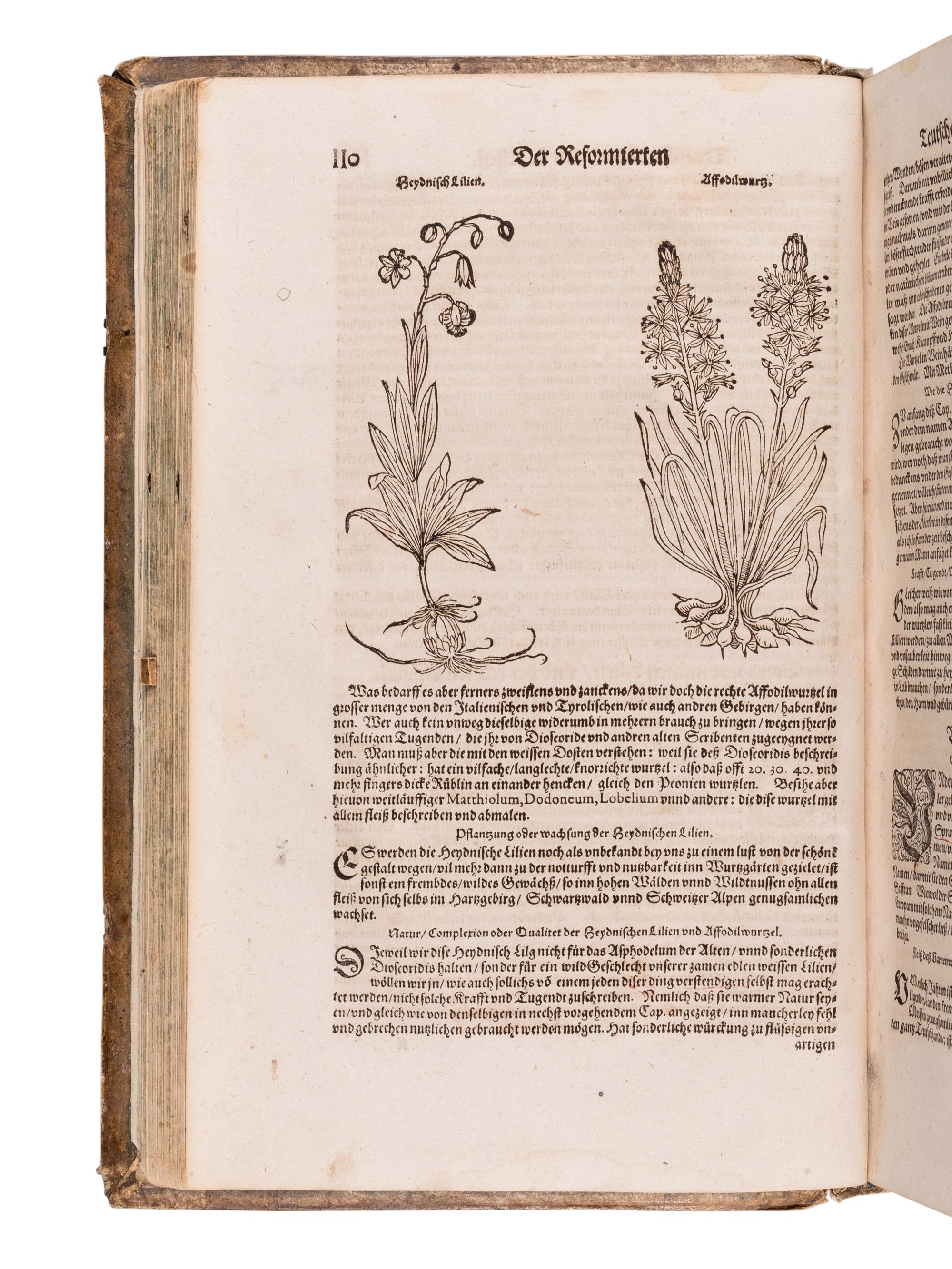 RYFF, Walther Hermann (ca 1500-1548). Newe aussgerüeste Deutsche Apoteck: darinnen aller fürnemsten, und gebraulichtsten einfachen Artzneyen, als Kraütter, Gewürtz, Mineralien.. . Niklaus Ager, translator. Strassburg: Lazari Zetzners, 1602.