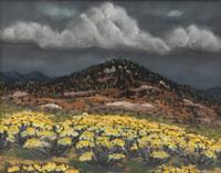 New Mexico Mountain