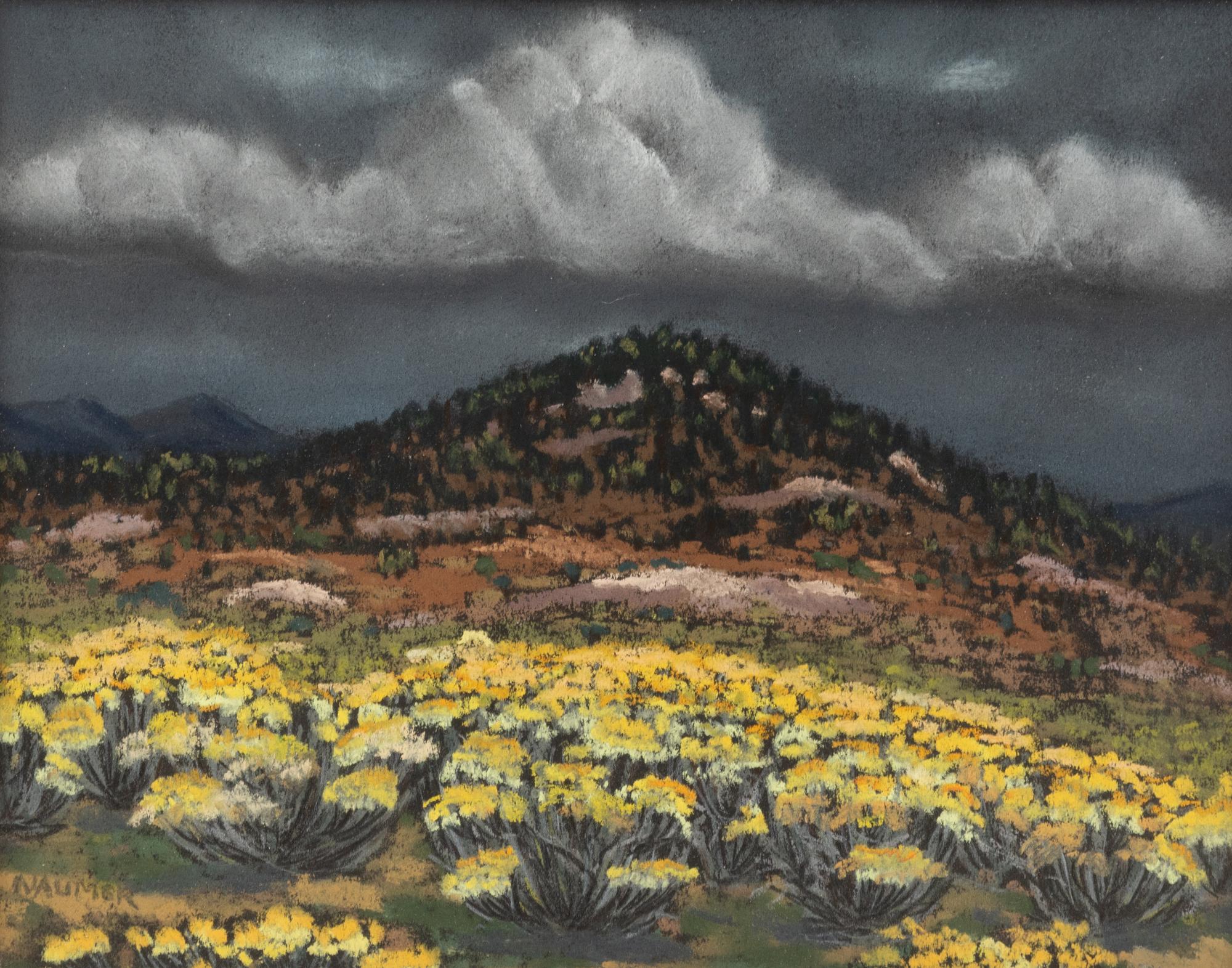 New Mexico Mountain