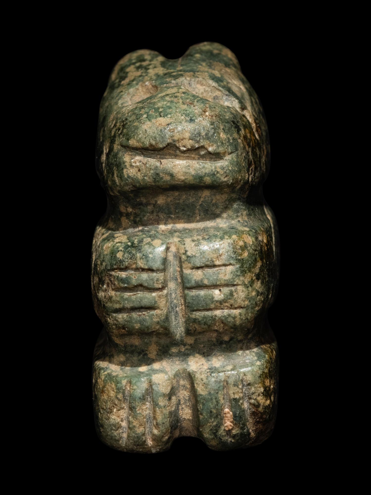 An Nicoya Serpentine Animal