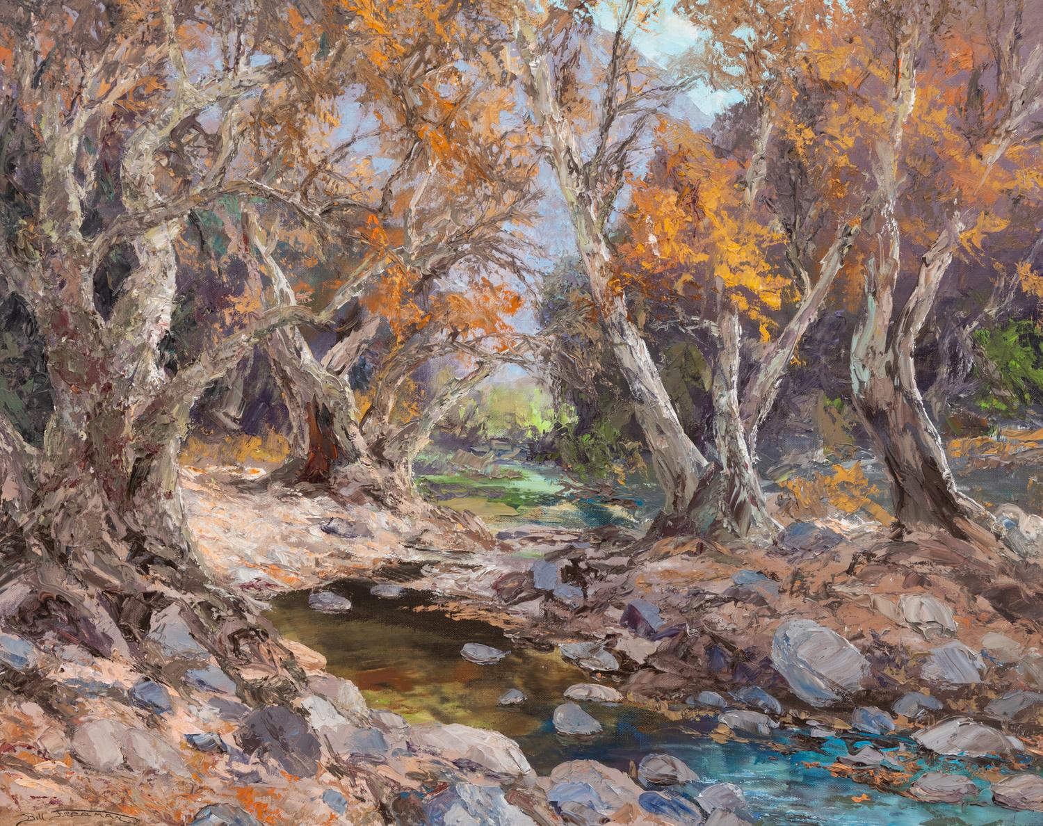 Sycamore Creek