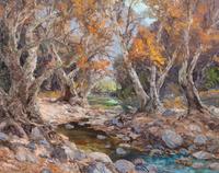 Sycamore Creek