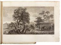 [COOK, James (1728-1779)]. -- [FIRST VOYAGE]. John HAWKESWORTH (1715-1773). An Account of the Voyages undertaken by the order of His Present Majesty for making Discoveries in the Southern Hemisphere, and successively performed by Commodore Byron, Captain Wallis, Captain Carteret and Captain Cook, in the Dolphin, the Swallow, and the Endeavour; drawn up From the Journals which were kept by several Commanders, And from the papers of Joseph Banks, By John Hawkesworth . London: W. Strahan and T. Cadell, 1773.