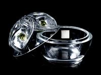 A Lalique Marie Claude Vase and a Floride Covered Box