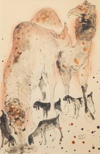 Camels and Goats