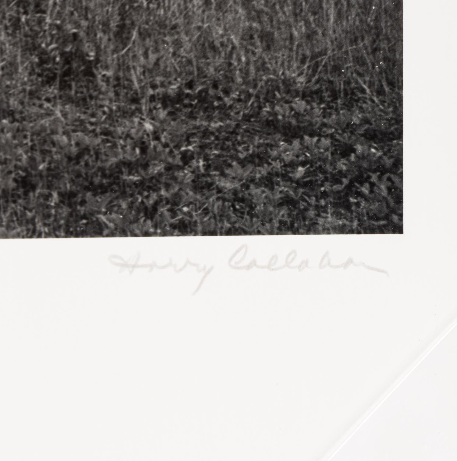 Harry Callahan (1912–1999) Eleanor, Port Huron, 1954