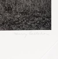 Harry Callahan (1912–1999) Eleanor, Port Huron, 1954