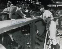 A Joe DiMaggio Signed Autograph Large Display (Beckett Authentication Services Letter),