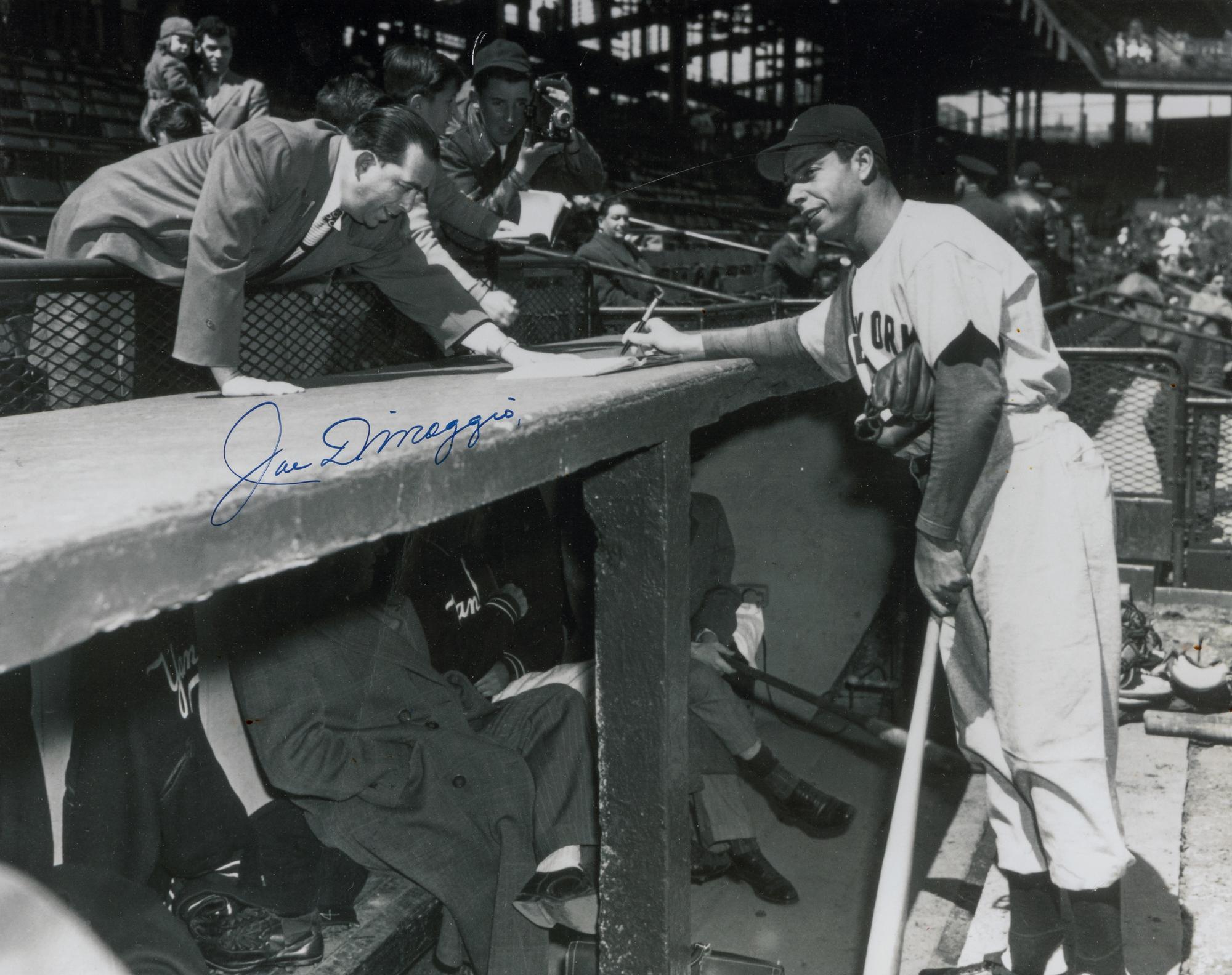 A Joe DiMaggio Signed Autograph Large Display (Beckett Authentication Services Letter),