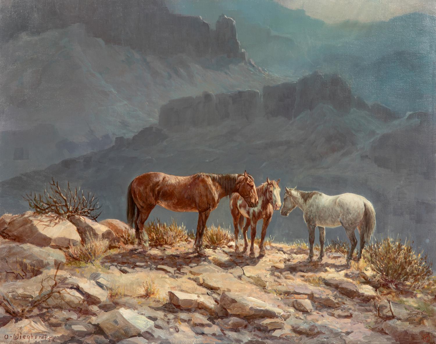 Mountain Ponies