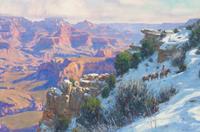 Snowy Canyon