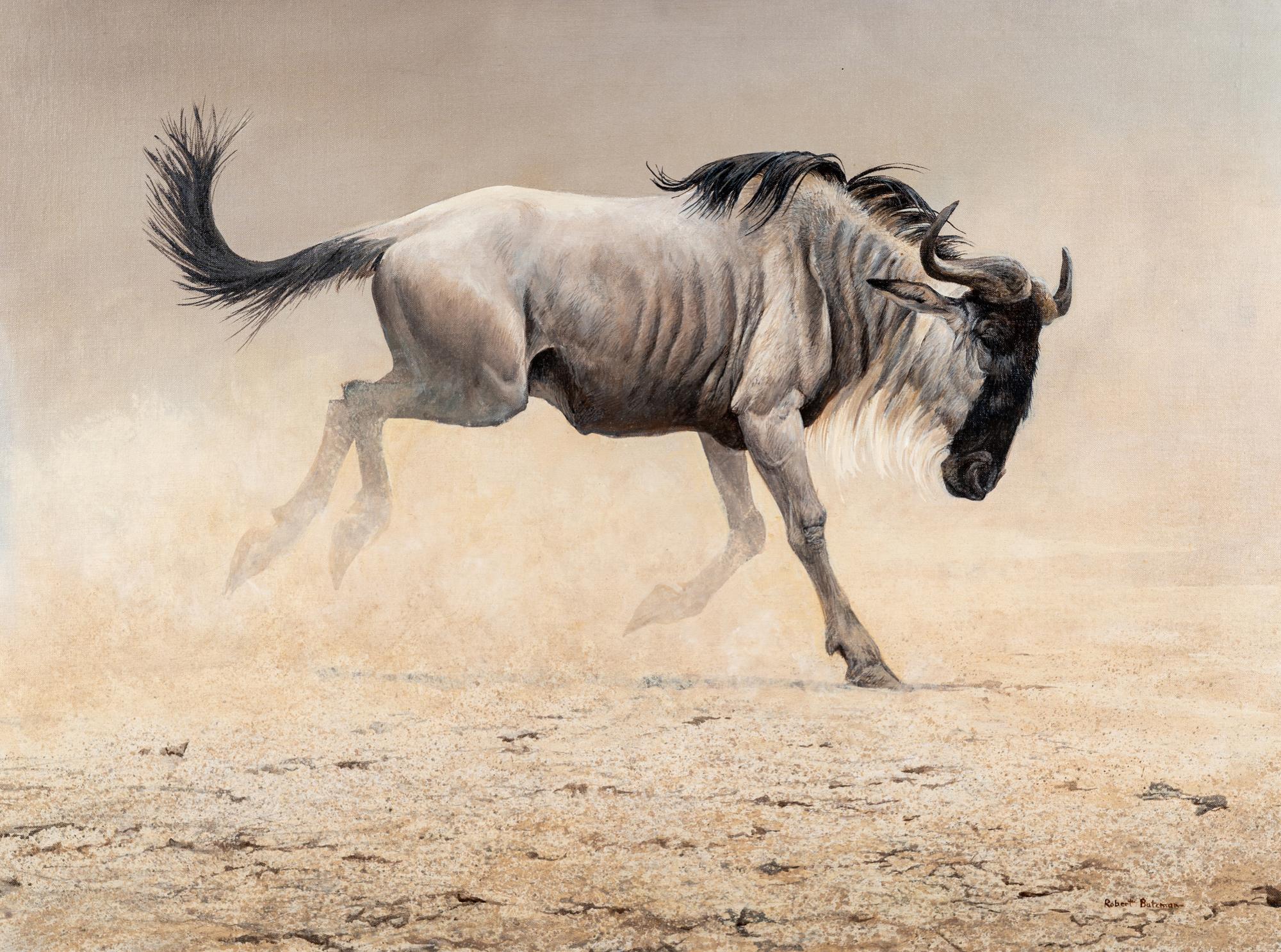 Wildebeest