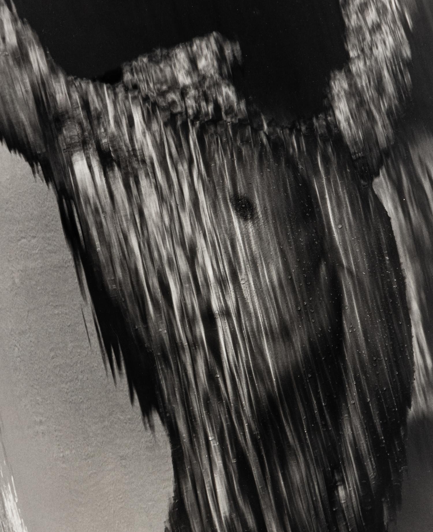 Herb Ritts (1952–2002) Waterfall Torso, Hollywood, 1988
