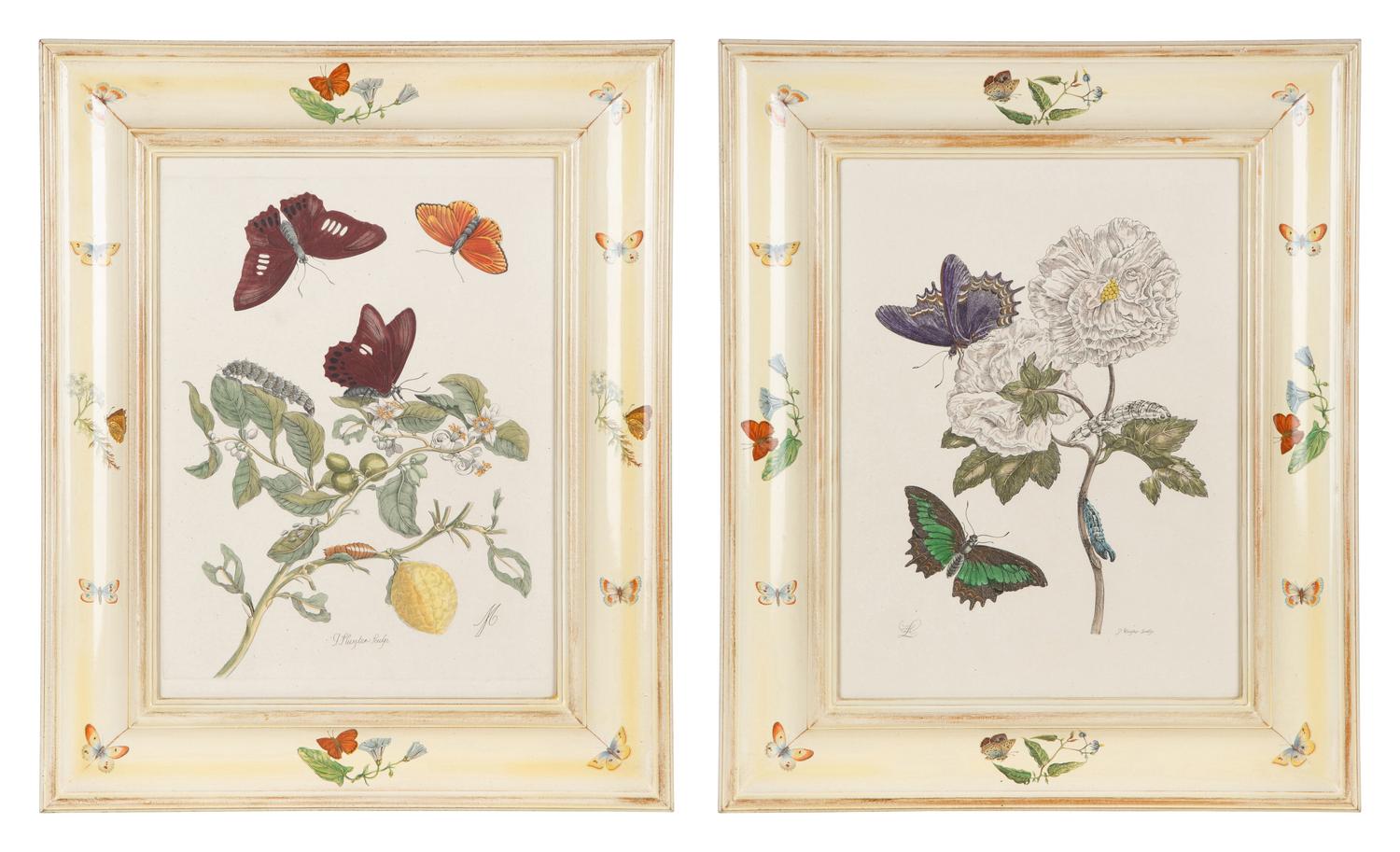 Three Butterfly and Botanical Prints — 20TH CENTURY