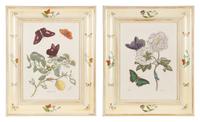 Three Butterfly and Botanical Prints — 20TH CENTURY