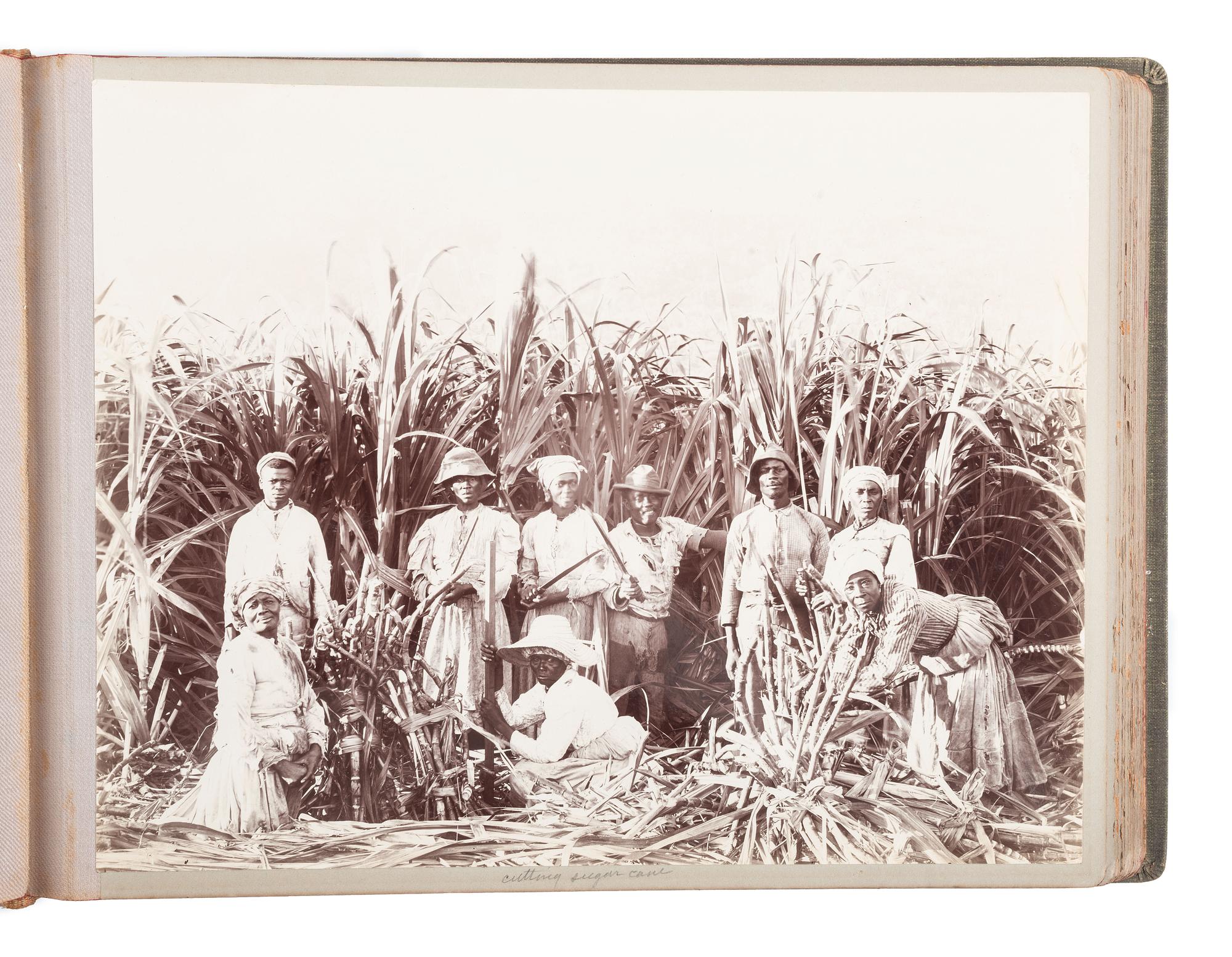 [EARLY PHOTOGRAPHY] -- [JAMAICA]. Album containing several photographs of Black subjects in Jamaica.