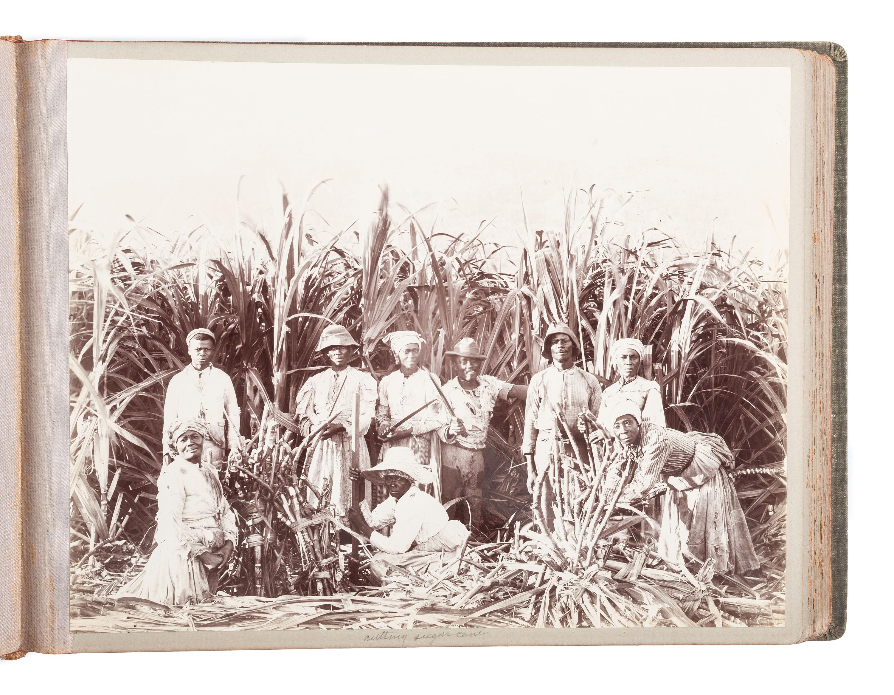 [EARLY PHOTOGRAPHY] -- [JAMAICA]. Album containing several photographs of Black subjects in Jamaica.