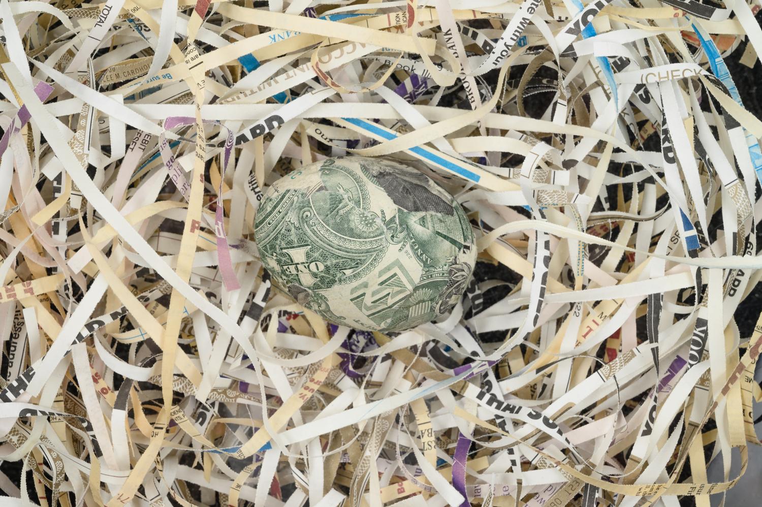 Untitled (Nest Egg)