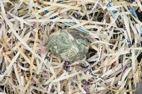 Untitled (Nest Egg)