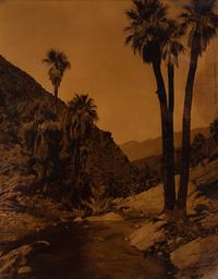 A California Orotone