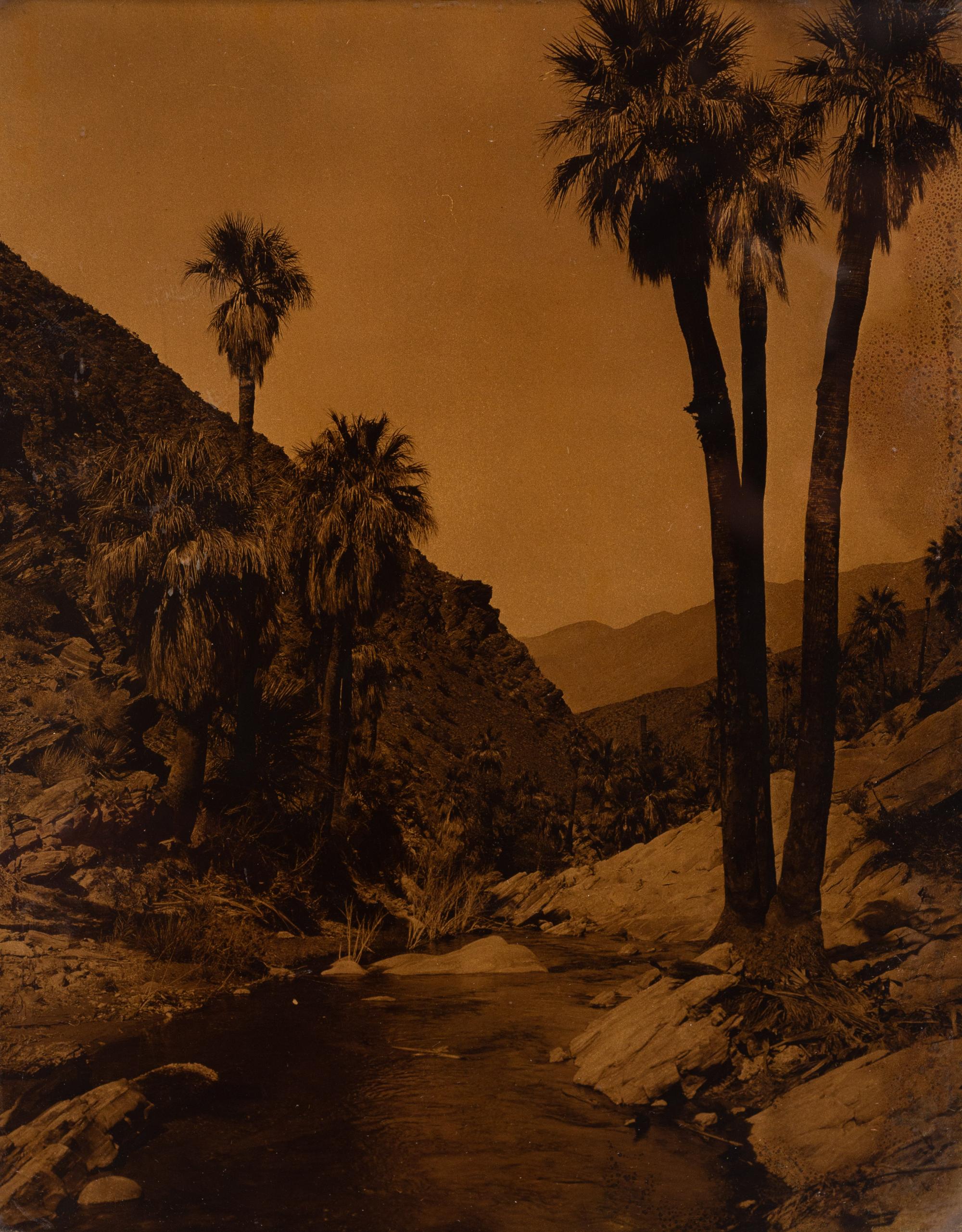 A California Orotone