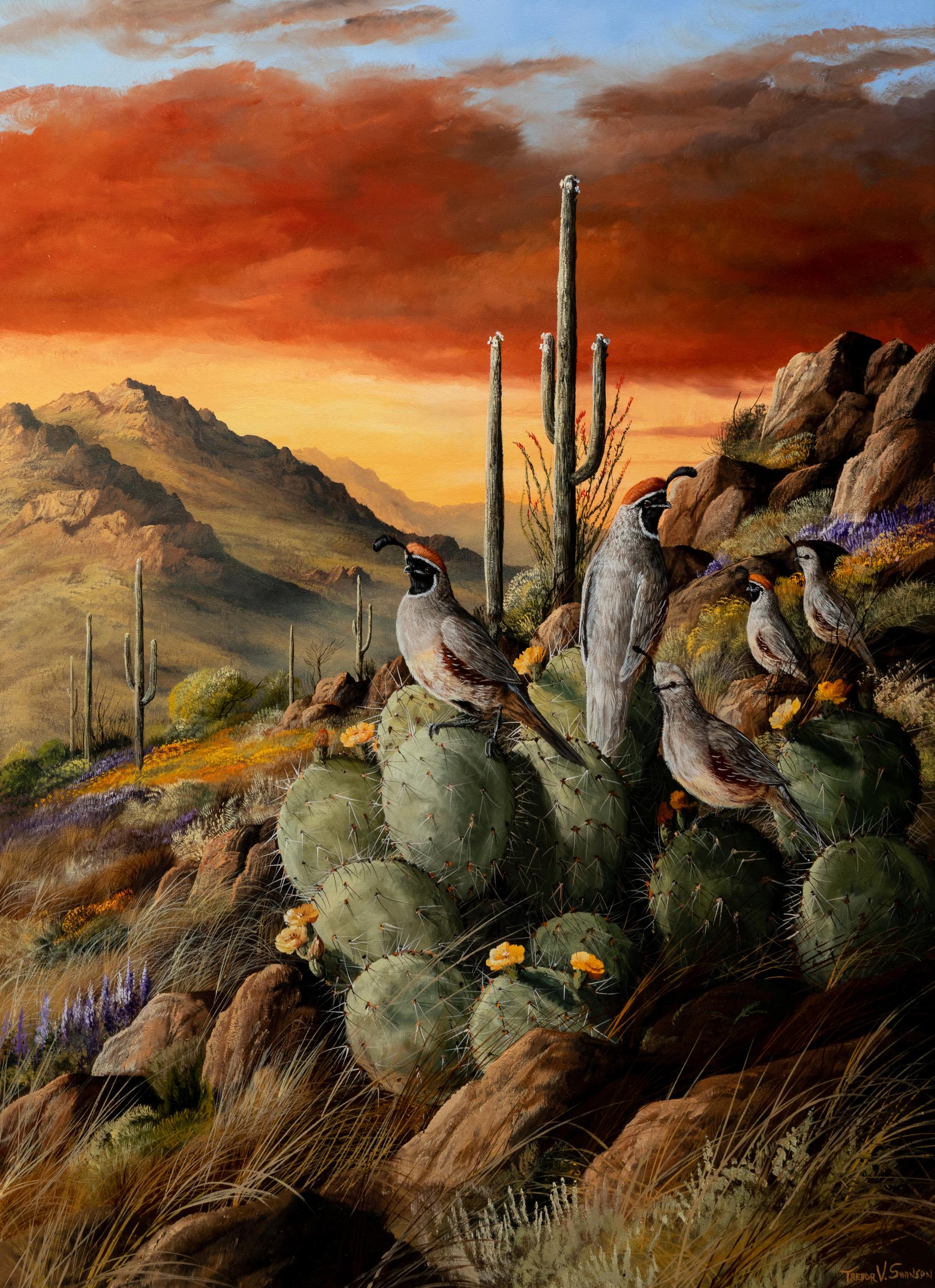 Birds in Desert