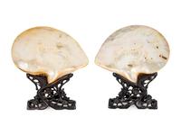 A Pair of Abalone Shells Mounted in Fitted Stands. — 19TH/20TH CENTURY