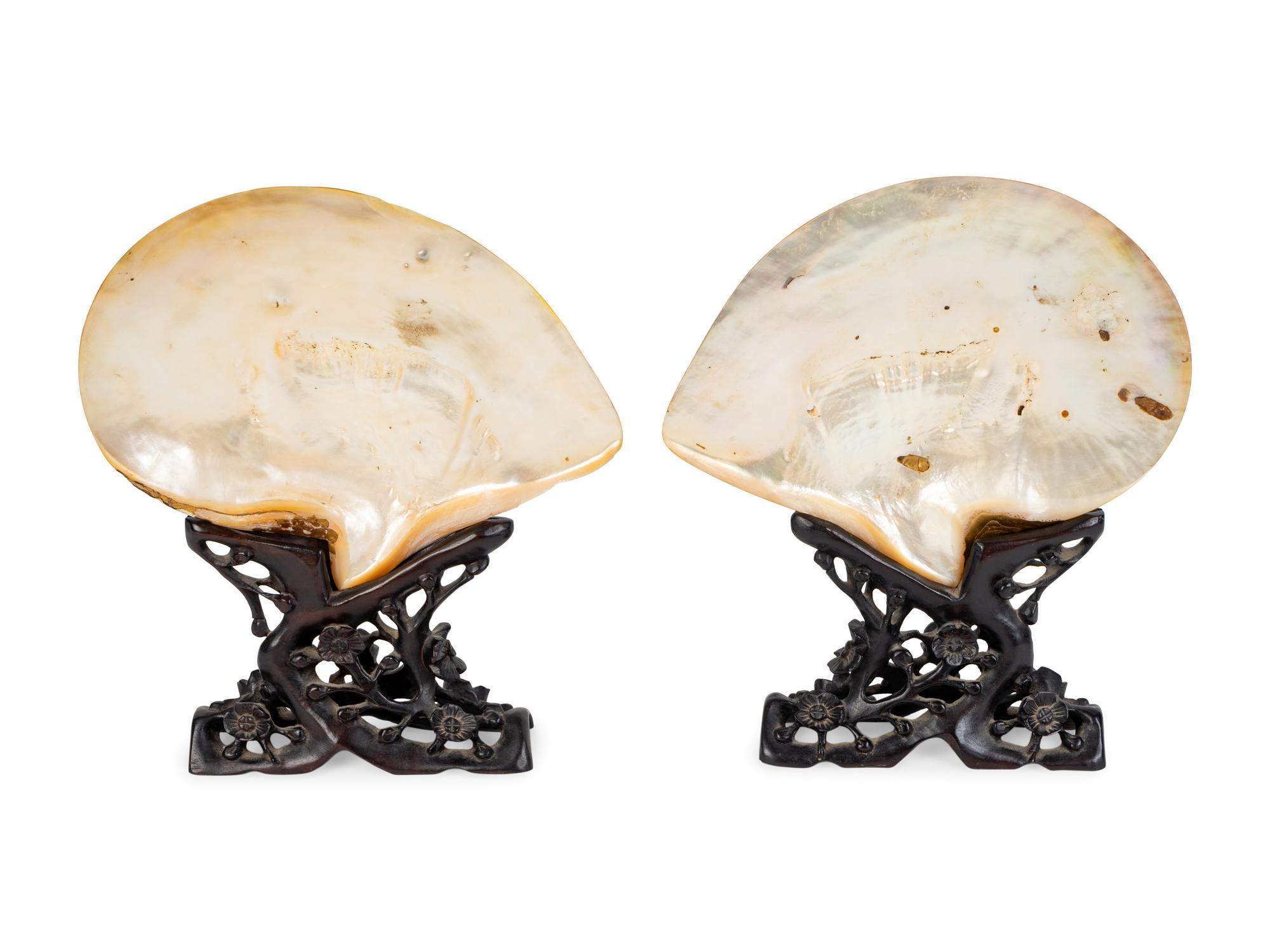 A Pair of Abalone Shells Mounted in Fitted Stands. — 19TH/20TH CENTURY