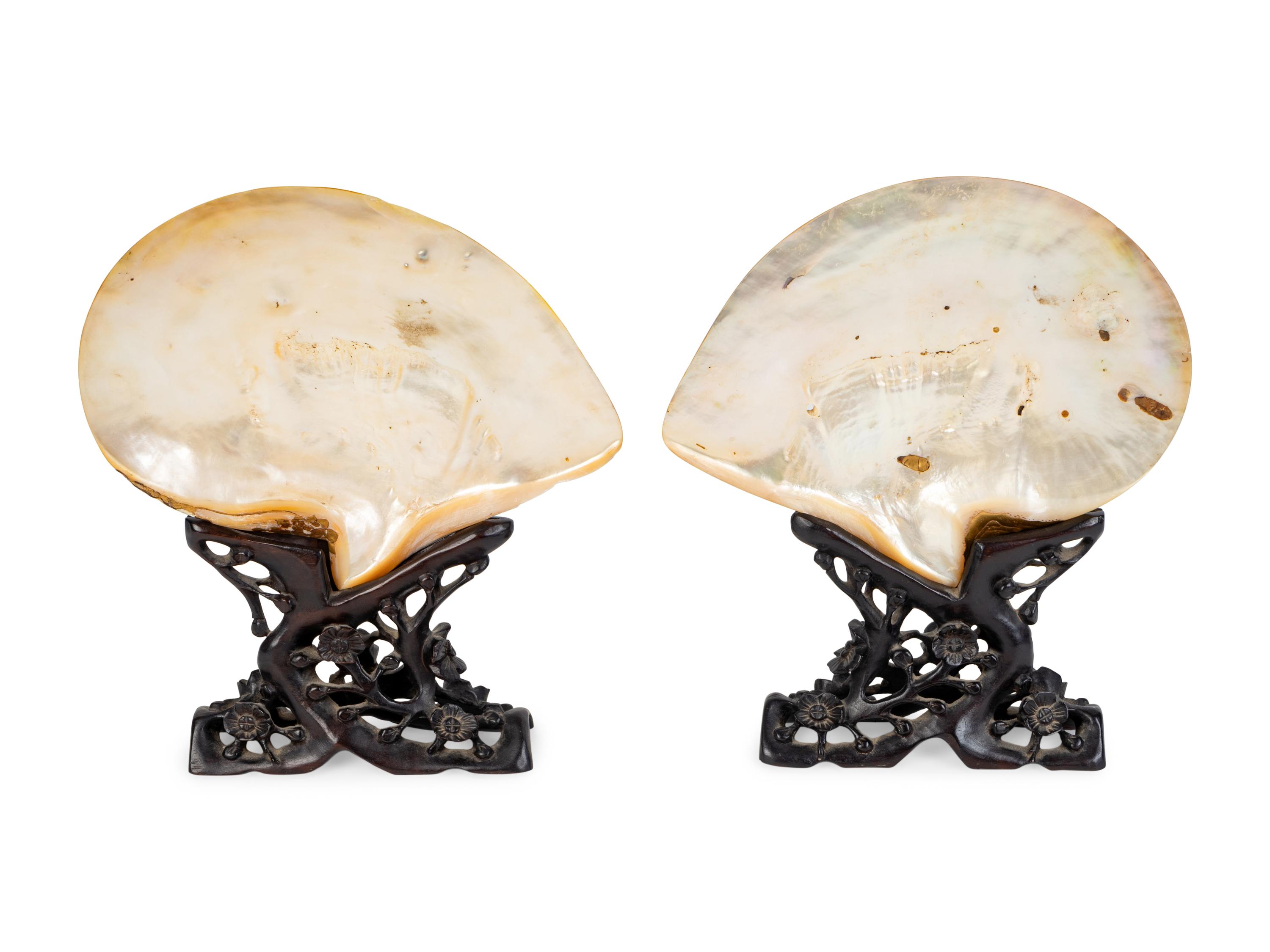 A Pair of Abalone Shells Mounted in Fitted Stands. — 19TH/20TH CENTURY