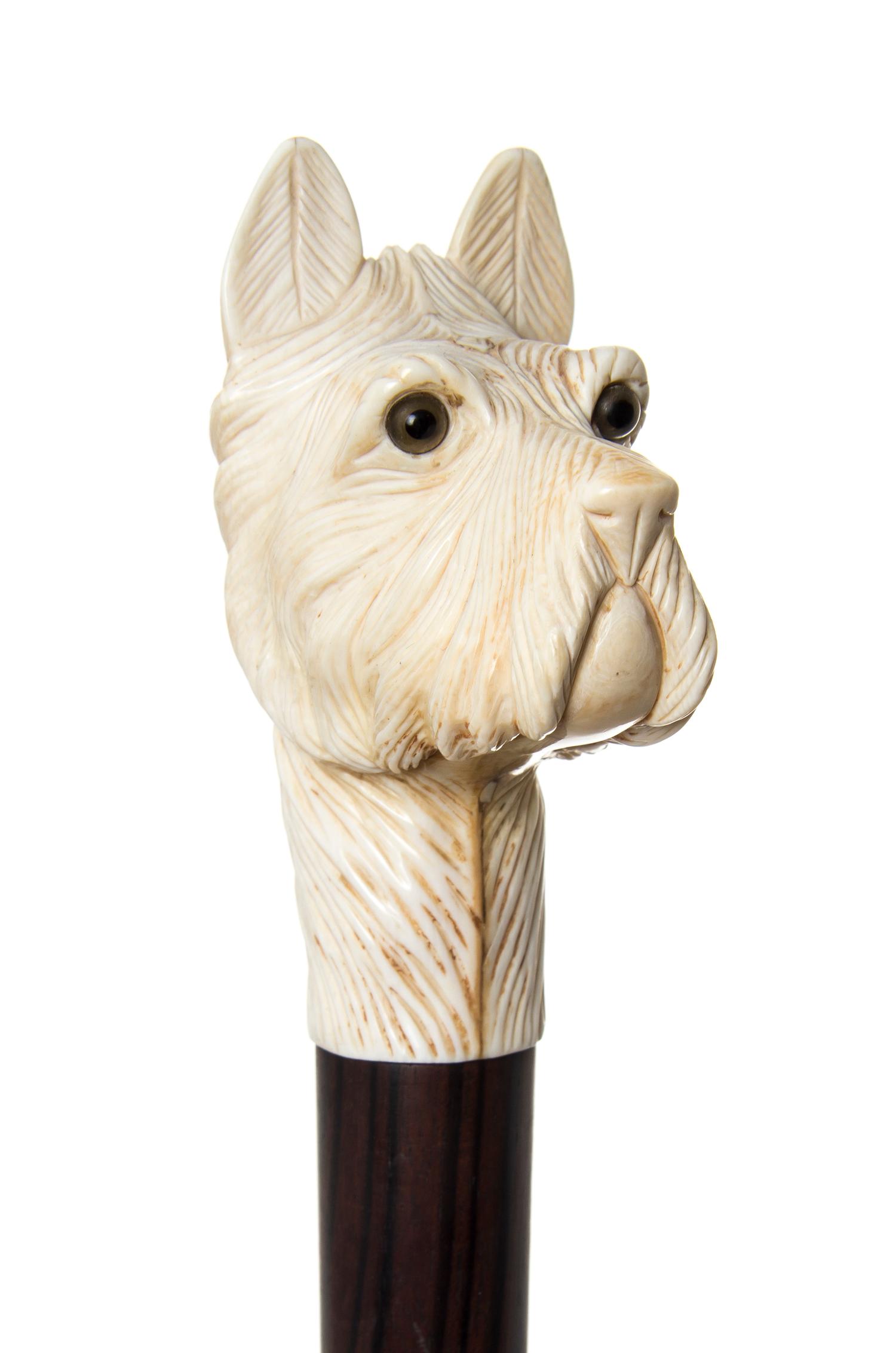 An English Ivory Briggs Style Handled Walking Stick, Length of handle 3 5/8 x length overall 38 3/8 inches.
