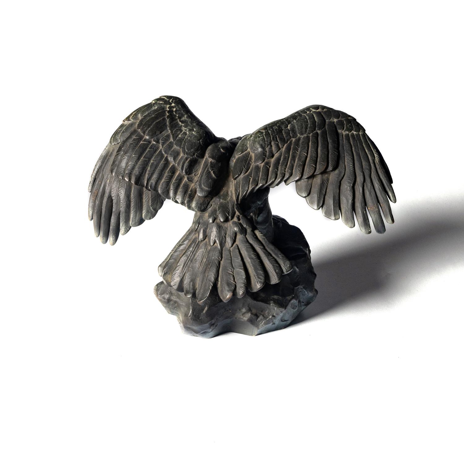 Aigle Ailes Étendues, Bec Ouvert