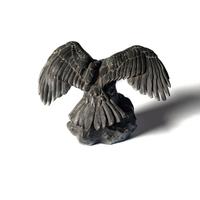 Aigle Ailes Étendues, Bec Ouvert