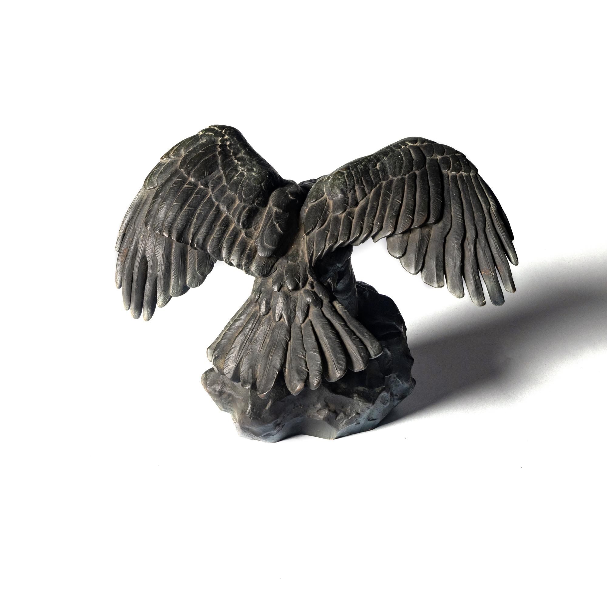 Aigle Ailes Étendues, Bec Ouvert