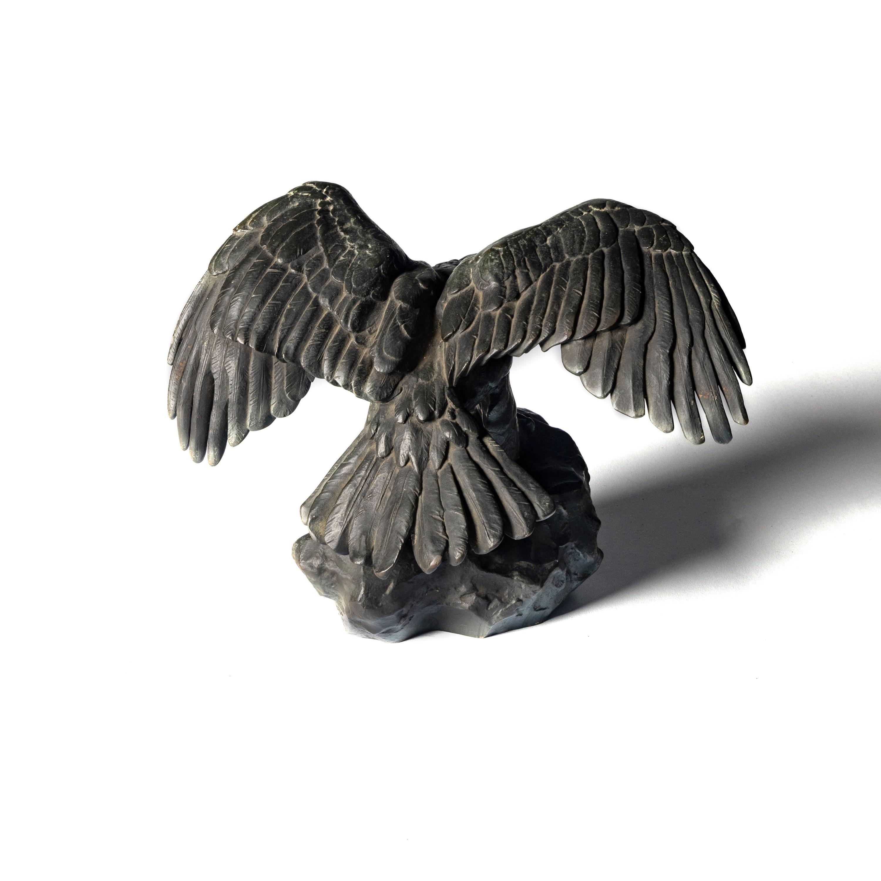 Aigle Ailes Étendues, Bec Ouvert