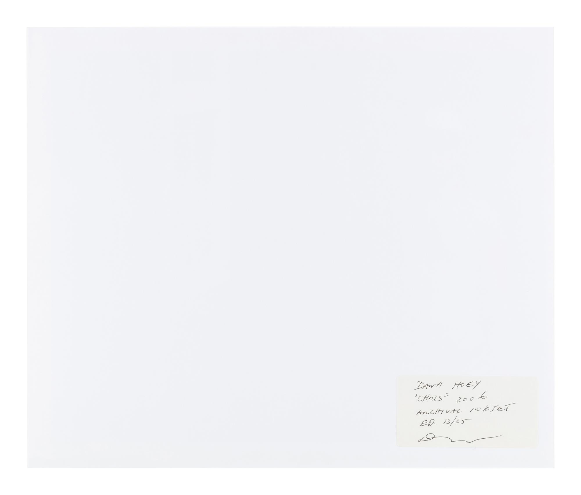 Dana Hoey (born 1966) Chris, 2006