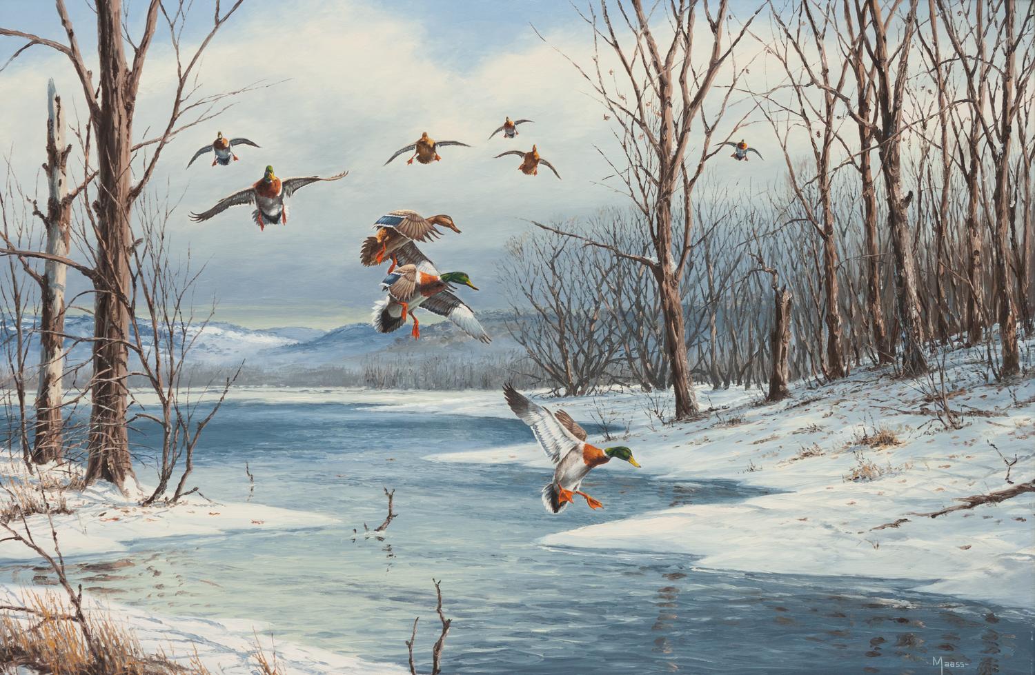 Ducks Landing