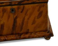 A Regency Tortoise Shell Veneered Tea Caddy