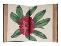 [NATURAL HISTORY]. PAXTON, Sir Joseph (1803-1865). Paxton's Magazine of Botany, and register of flowering plants . London: Bradbury & Evans for Orr & Smith (vols.I-II), W.S. Orr & Co. (vols.III-XVI), 1834-1849.
