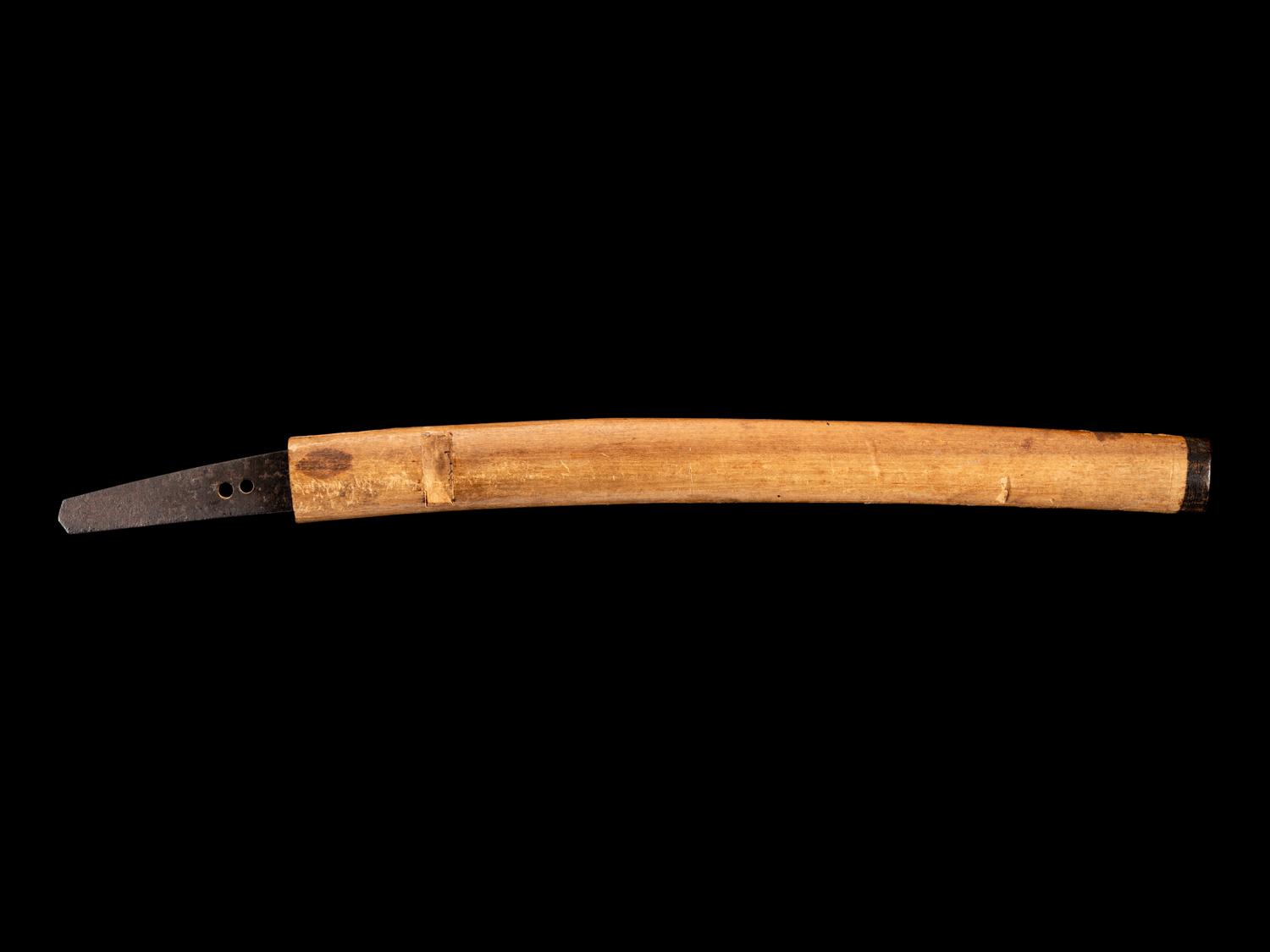 A Wakizashi
