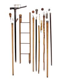 Nine English and Continental Tool System Walking Sticks