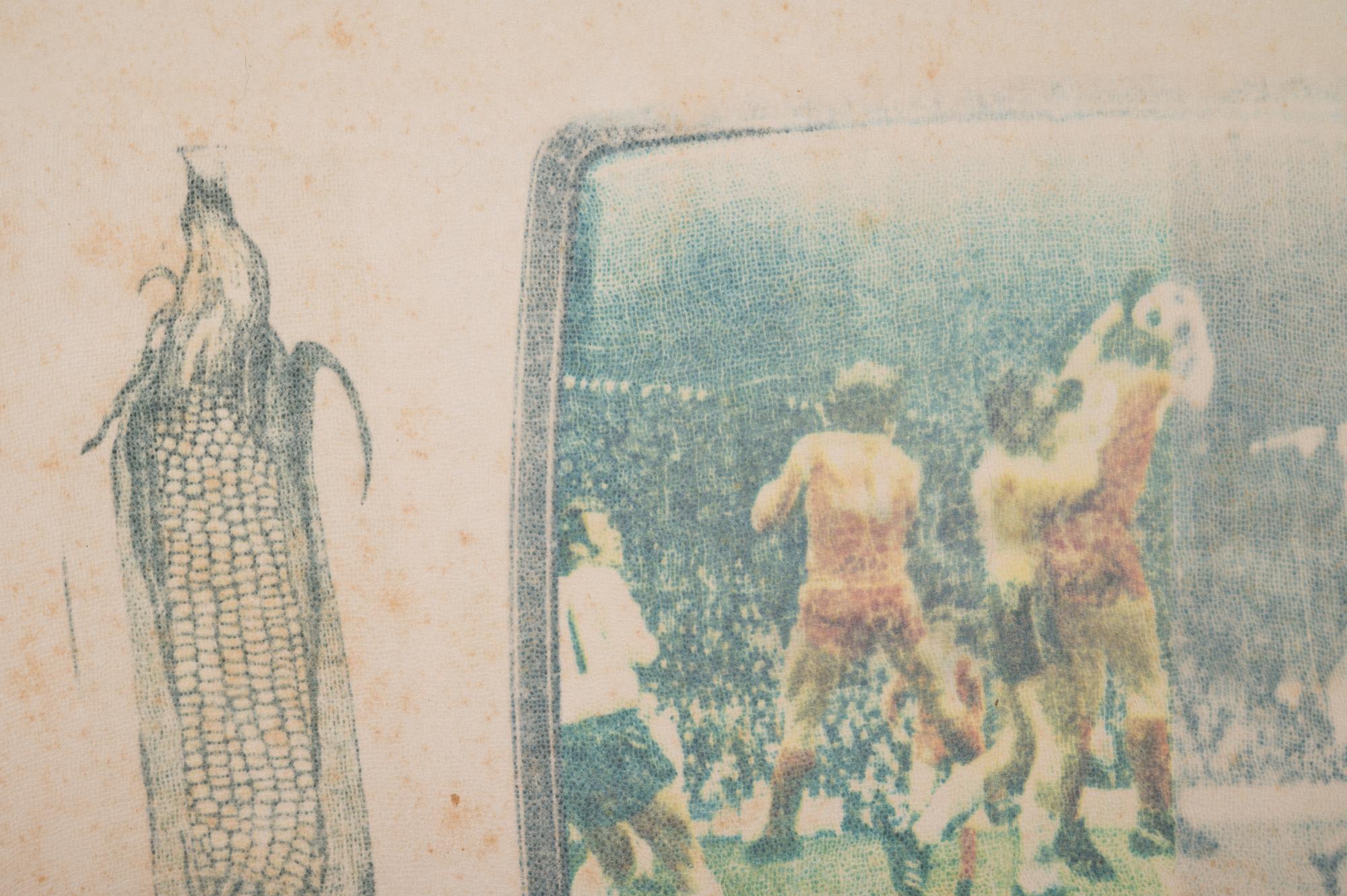 Untitled (Ear of Corn, TV soccer)