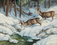 Softly In The Snow
