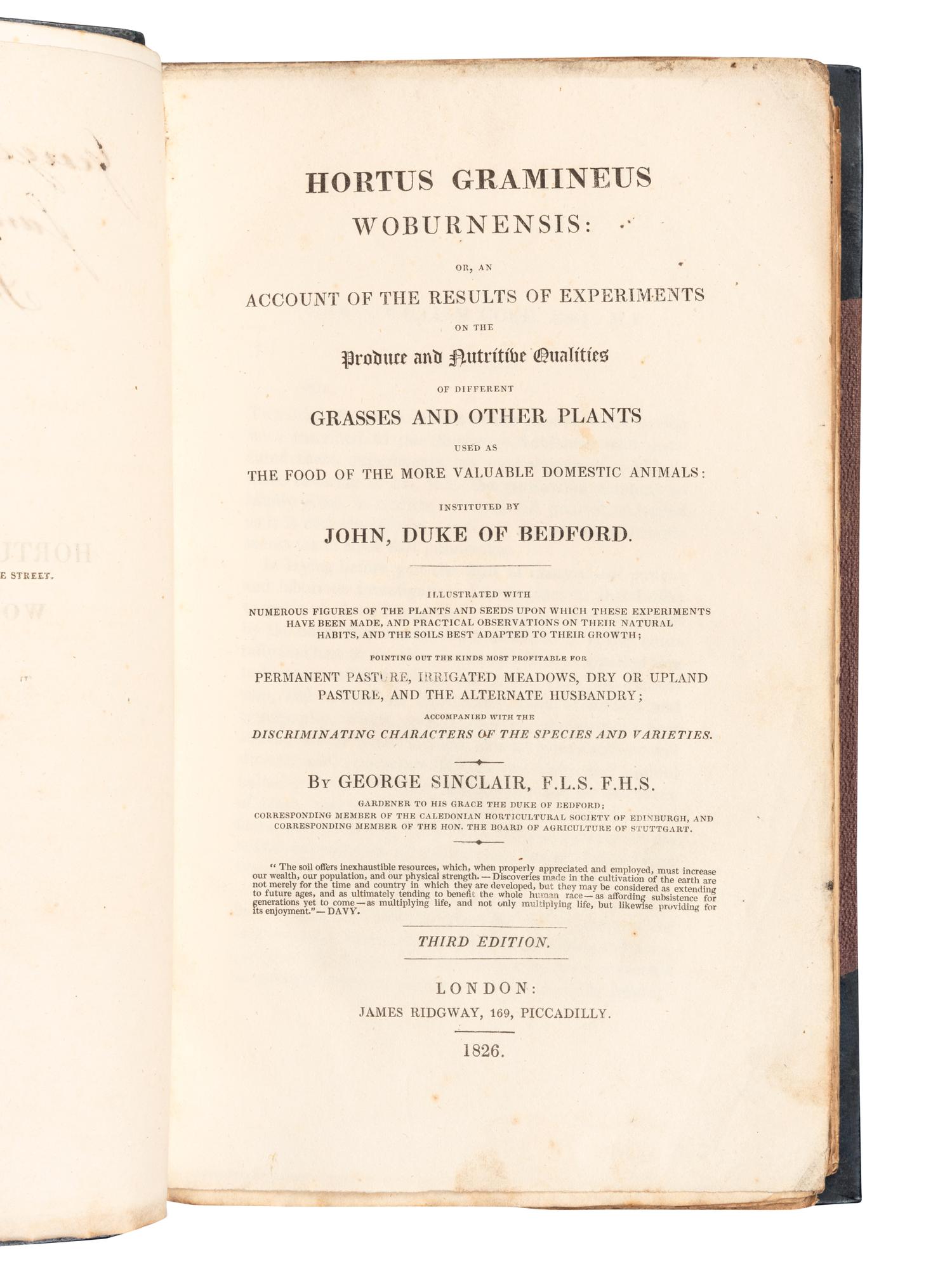 [FERNS & GRASSES]. A group of 7 works, including: